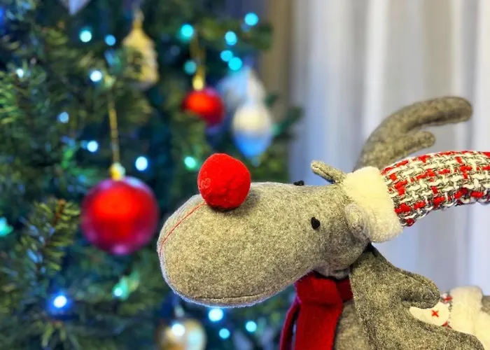 Lägenhet Karolina - Winter Holidays